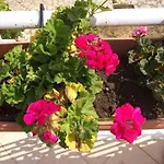 Sunny شقة