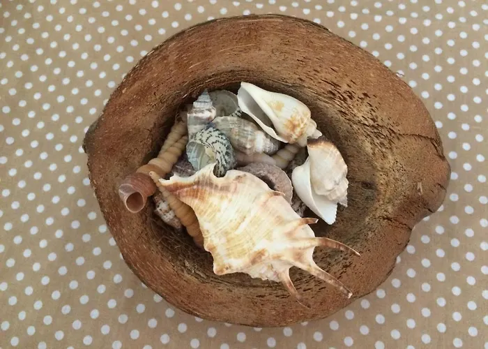 Διαμέρισμα Sunny