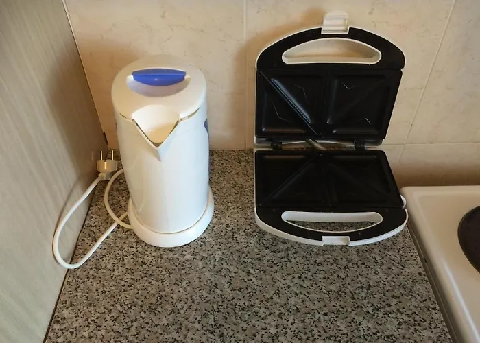 公寓 Sunny 斯沃伦塔